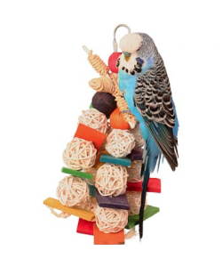 Willow Wizard Parrot Toy